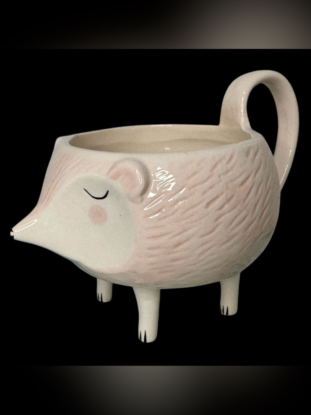 Hedgehog Coffee Mug Cup Arlington Designs Ceramic  12 Oz Mug With Legs